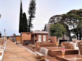 Câmara de Avaré aprova projeto que autoriza o enterro de pets em jazigos de tutores