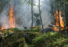 Secretaria alerta sobre riscos de incêndios em áreas rurais