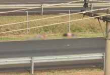 Motociclista tem corpo decepado em acidente na rodovia Marechal Rondon