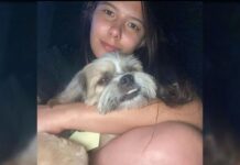 Tragédia: mulher e cachorro morrem atropelados em Bauru