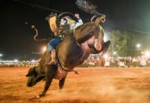 Oposição se divide na votação de projeto sobre rodeio