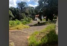 Moradores reclamam de matagal no bairro Bem-te- Vis