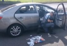 Mulher é presa com mais de 12 quilos de haxixe em Avaré