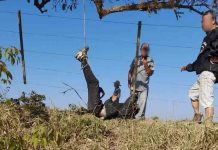 Suspeito de furtar casas é amarrado a árvore em Angatuba