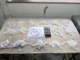 Operação conjunta entre 53º BPM/I e BAEP desarticula pontos de tráfico em Cerqueira César e Manduri