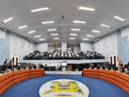 “Vereador Raiz”: Projeto em Ponta Grossa prevê salário mínimo e fim de privilégios na Câmara