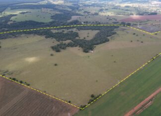 Mesmo sob júdice, projeto de venda da Fazenda Onça é pautado no Legislativo de Avaré