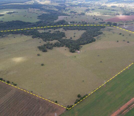Mesmo sob júdice, projeto de venda da Fazenda Onça é pautado no Legislativo de Avaré