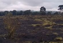 Força-tarefa mobiliza Bombeiros e servidores para conter incêndio em área verde de Itaí