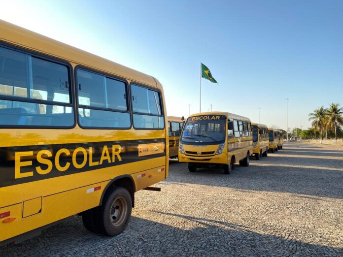 bus