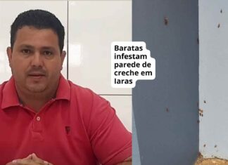 Colapso na Educação em Iaras: interdição de frota e caos em creche levam à suspensão das aulas