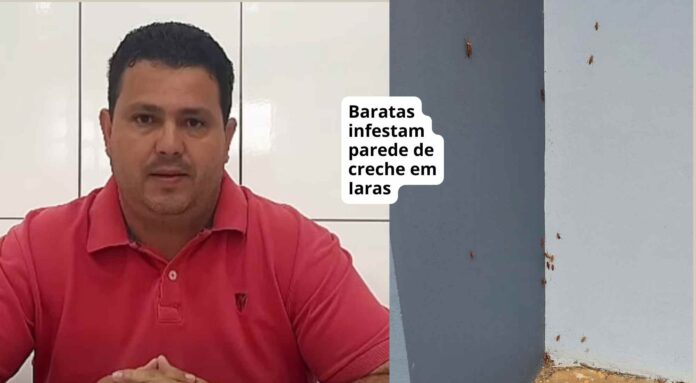 iaras educação