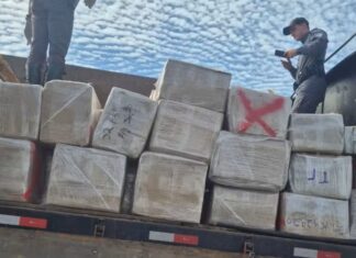 Polícia apreende mais de 3 toneladas de maconha em carreta na Castello Branco em Itatinga