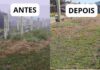 Exemplo : Moradores se mobilizam e transformam área abandonada ao lado de creche no Vera Cruz