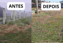 Exemplo : Moradores se mobilizam e transformam área abandonada ao lado de creche no Vera Cruz