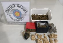 Polícia Militar descobre ponto de tráfico em chácara e prende homem com drogas em Manduri