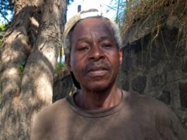 Tragédia em Botucatu: homem e cão morrem em incêndio