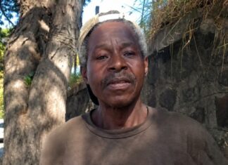 Tragédia em Botucatu: homem e cão morrem em incêndio
