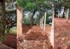 Moradores da Ponte Alta reclamam de corte de árvores nativas em reforma de capela