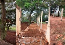 Moradores da Ponte Alta reclamam de corte de árvores nativas em reforma de capela