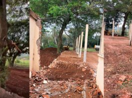 Paróquia se manifesta sobre retirada de árvores para reforma de capela na Ponte Alta