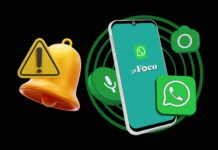 Jornal in Foco lança canal oficial no WhatsApp