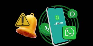 Jornal in Foco lança canal oficial no WhatsApp
