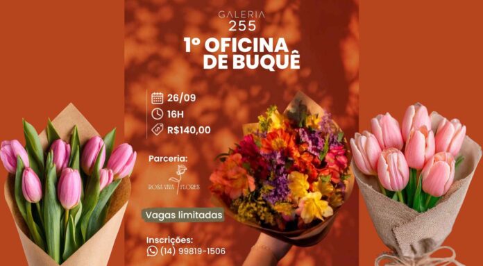 galeria255